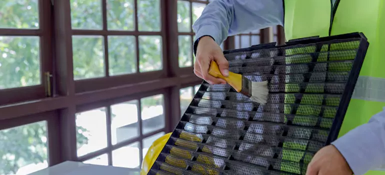 Traditional Window Grille Installation Options in Ocoee, FL