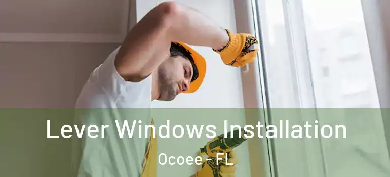 Lever Windows Installation Ocoee - FL