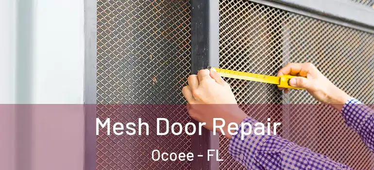 Mesh Door Repair Ocoee - FL