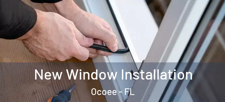 New Window Installation Ocoee - FL
