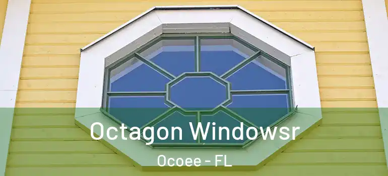 Octagon Windowsr Ocoee - FL