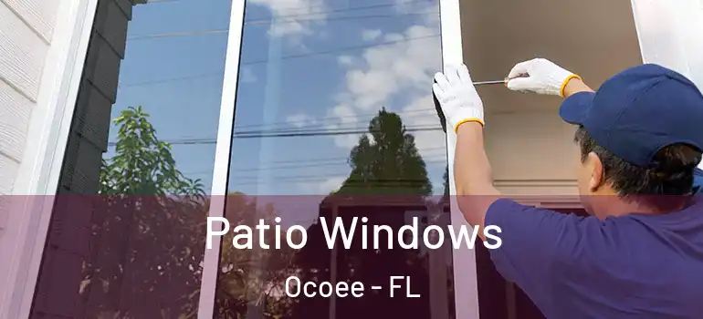 Patio Windows Ocoee - FL