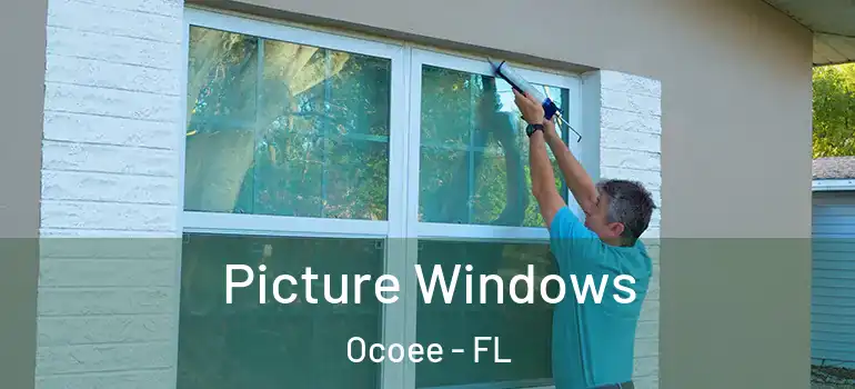  Picture Windows Ocoee - FL