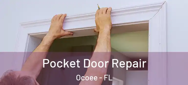 Pocket Door Repair Ocoee - FL