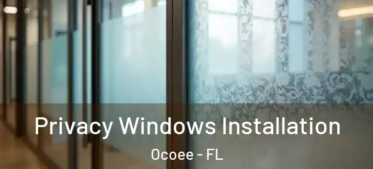 Privacy Windows Installation Ocoee - FL