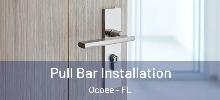 Pull Bar Installation Ocoee - FL