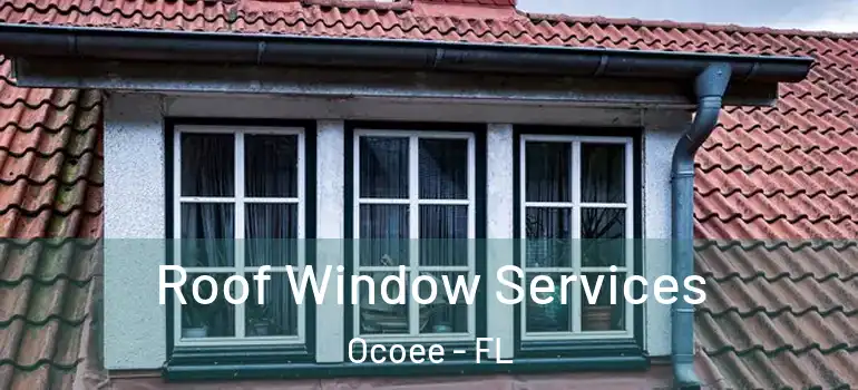  Roof Window Services Ocoee - FL