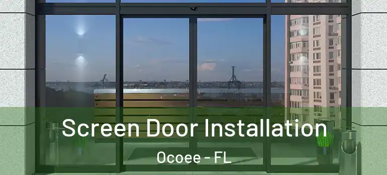 Screen Door Installation Ocoee - FL