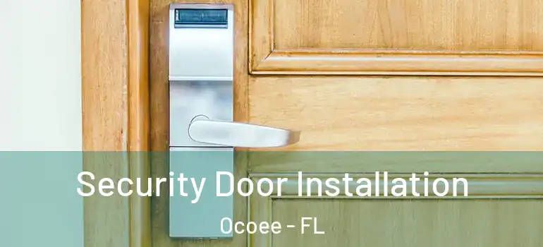 Security Door Installation Ocoee - FL