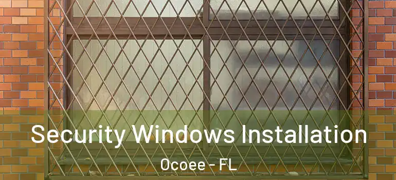 Security Windows Installation Ocoee - FL
