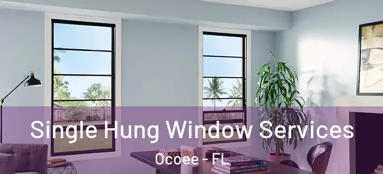 Single Hung Window Services Ocoee - FL