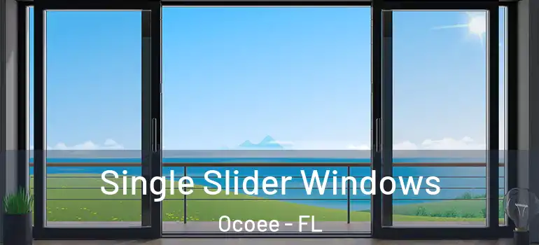 Single Slider Windows Ocoee - FL