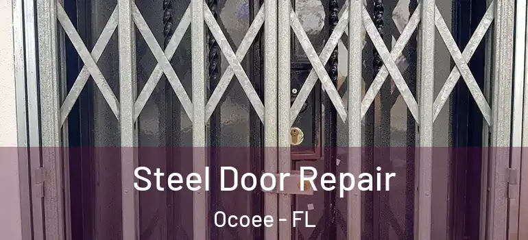 Steel Door Repair Ocoee - FL