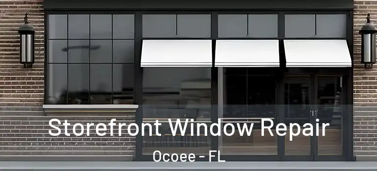 Storefront Window Repair Ocoee - FL