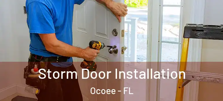 Storm Door Installation Ocoee - FL