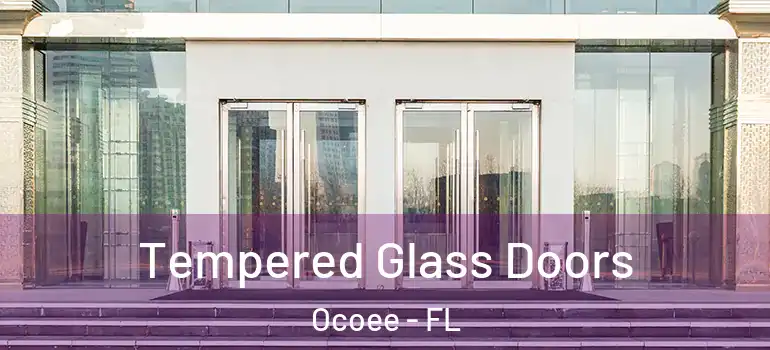 Tempered Glass Doors Ocoee - FL