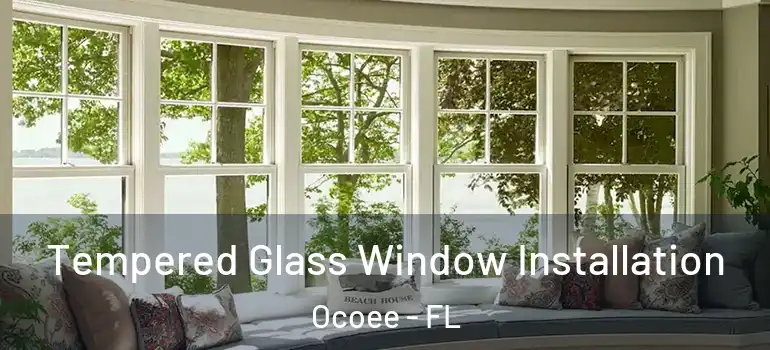  Tempered Glass Window Installation Ocoee - FL