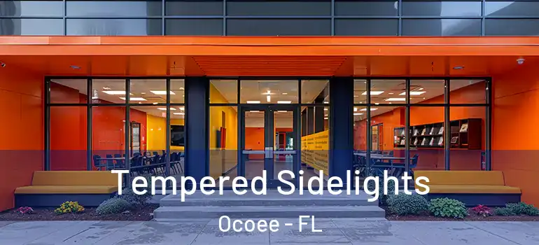 Tempered Sidelights Ocoee - FL