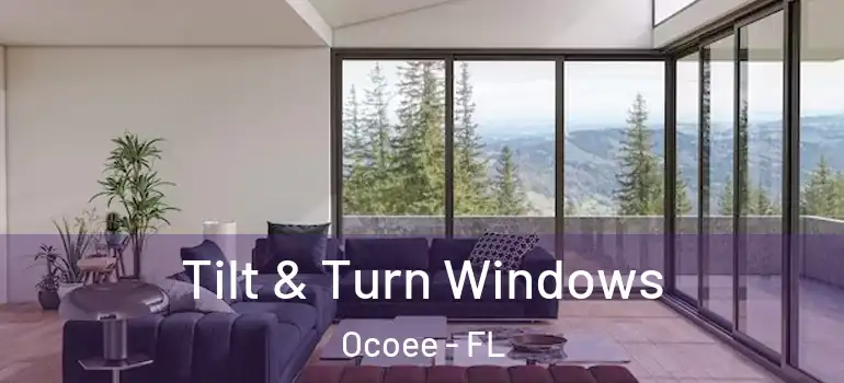 Tilt & Turn Windows Ocoee - FL
