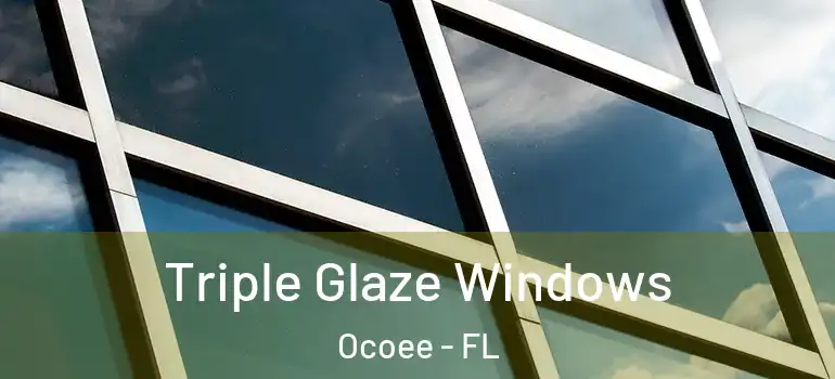 Triple Glaze Windows Ocoee - FL