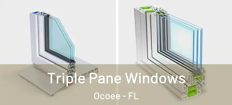 Triple Pane Windows Ocoee - FL