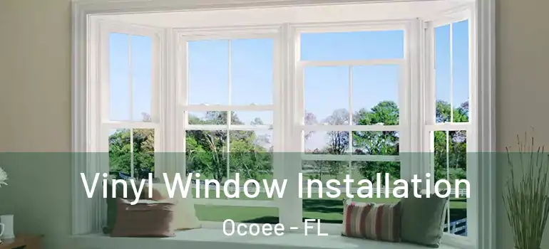 Vinyl Window Installation Ocoee - FL