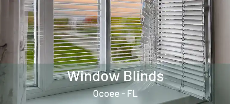 Window Blinds Ocoee - FL