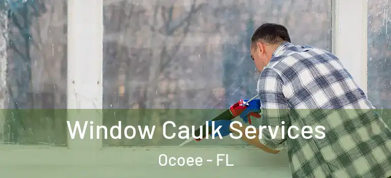 Window Caulk Services Ocoee - FL