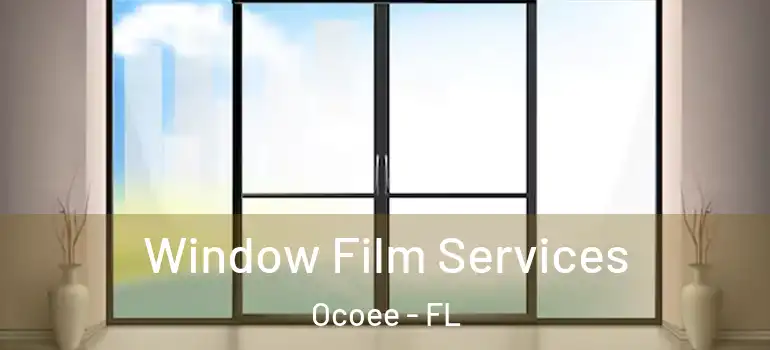 Window Film Services Ocoee - FL
