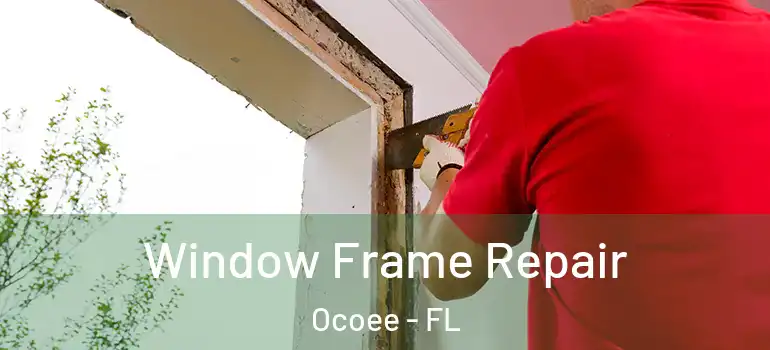 Window Frame Repair Ocoee - FL