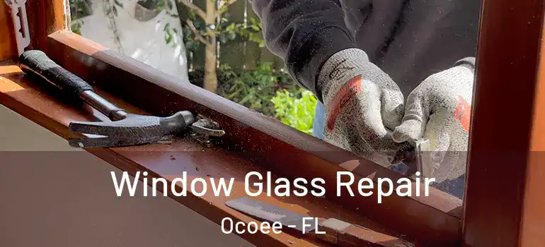 Window Glass Repair Ocoee - FL
