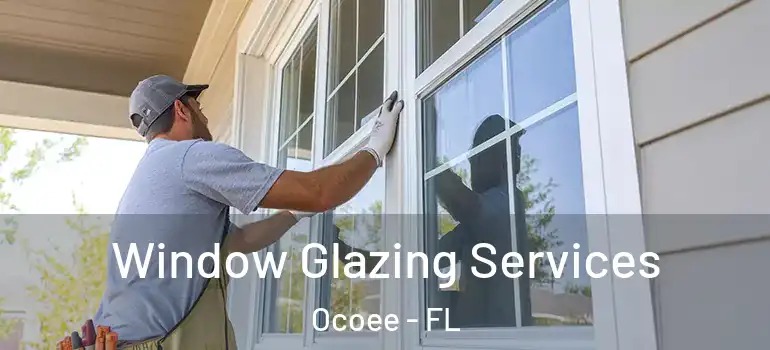 Window Glazing Services Ocoee - FL
