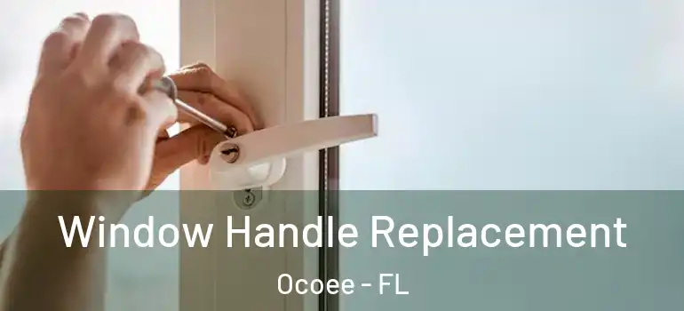 Window Handle Replacement Ocoee - FL