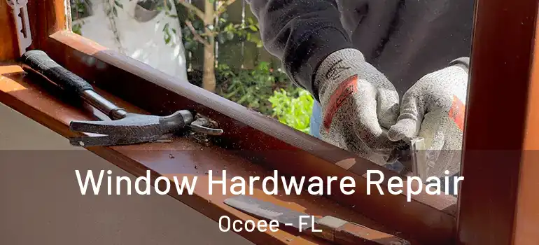 Window Hardware Repair Ocoee - FL