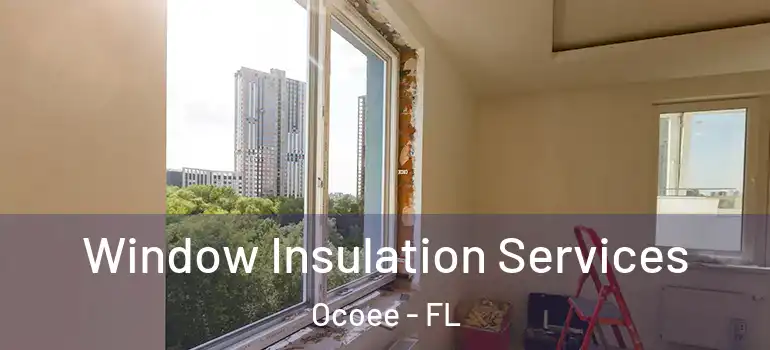 Window Insulation Services Ocoee - FL