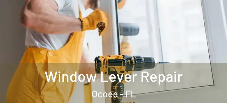 Window Lever Repair Ocoee - FL