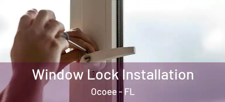 Window Lock Installation Ocoee - FL