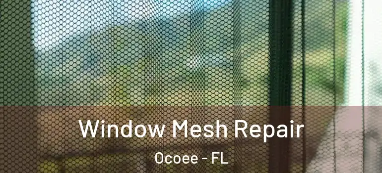 Window Mesh Repair Ocoee - FL