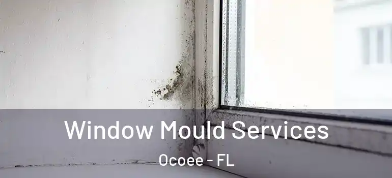  Window Mould Services Ocoee - FL