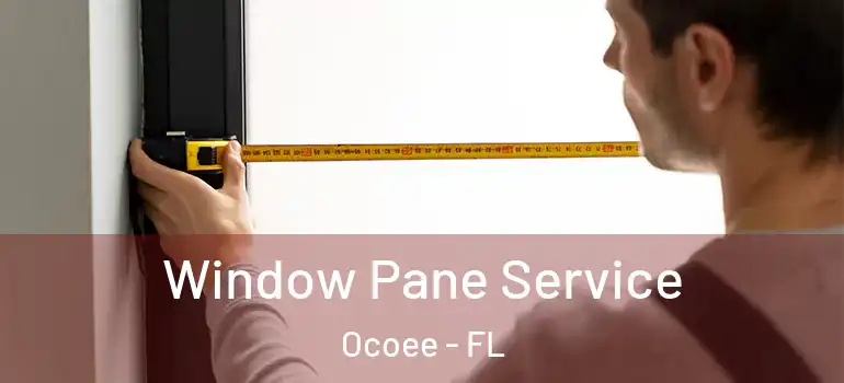 Window Pane Service Ocoee - FL