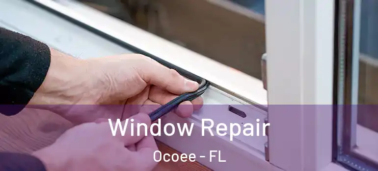 Window Repair Ocoee - FL