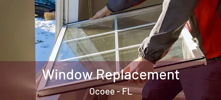 Window Replacement Ocoee - FL