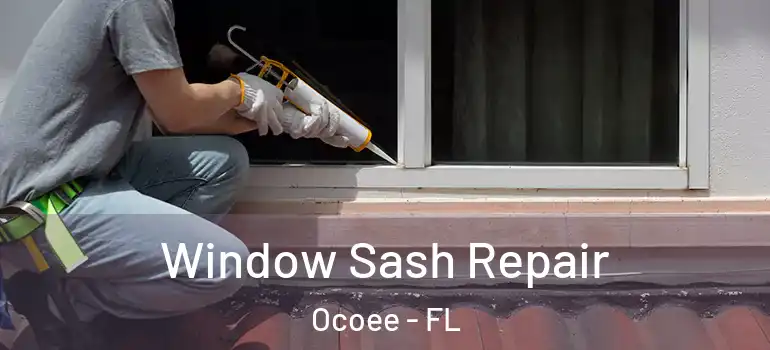 Window Sash Repair Ocoee - FL