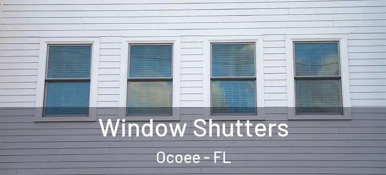 Window Shutters Ocoee - FL