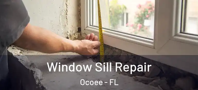 Window Sill Repair Ocoee - FL