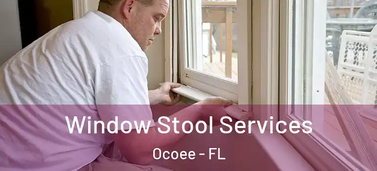 Window Stool Services Ocoee - FL