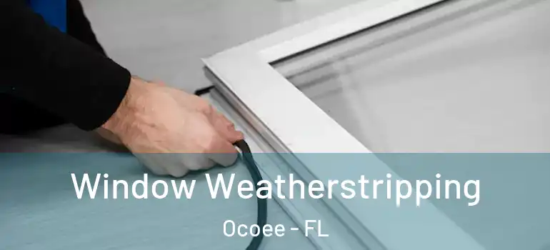 Window Weatherstripping Ocoee - FL
