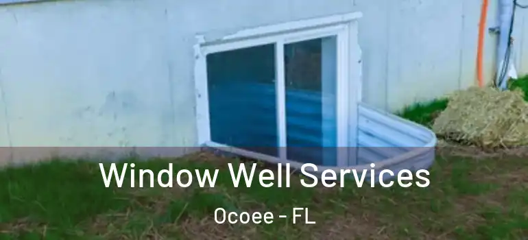 Window Well Services Ocoee - FL