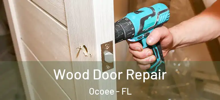 Wood Door Repair Ocoee - FL